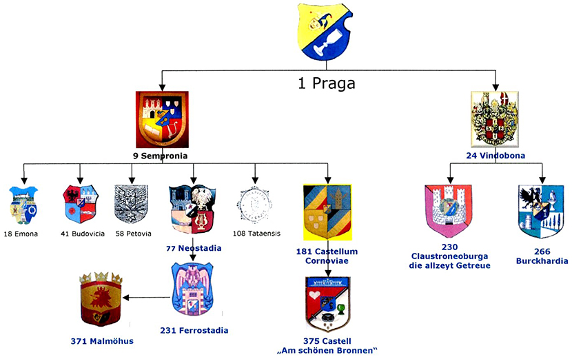 ferrostadiasstammbaum